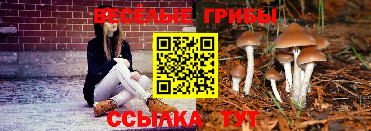 купить наркотик  Галлюциногенные грибы MAGIC MUSHROOMS  Вход с VPN  Прохладный 